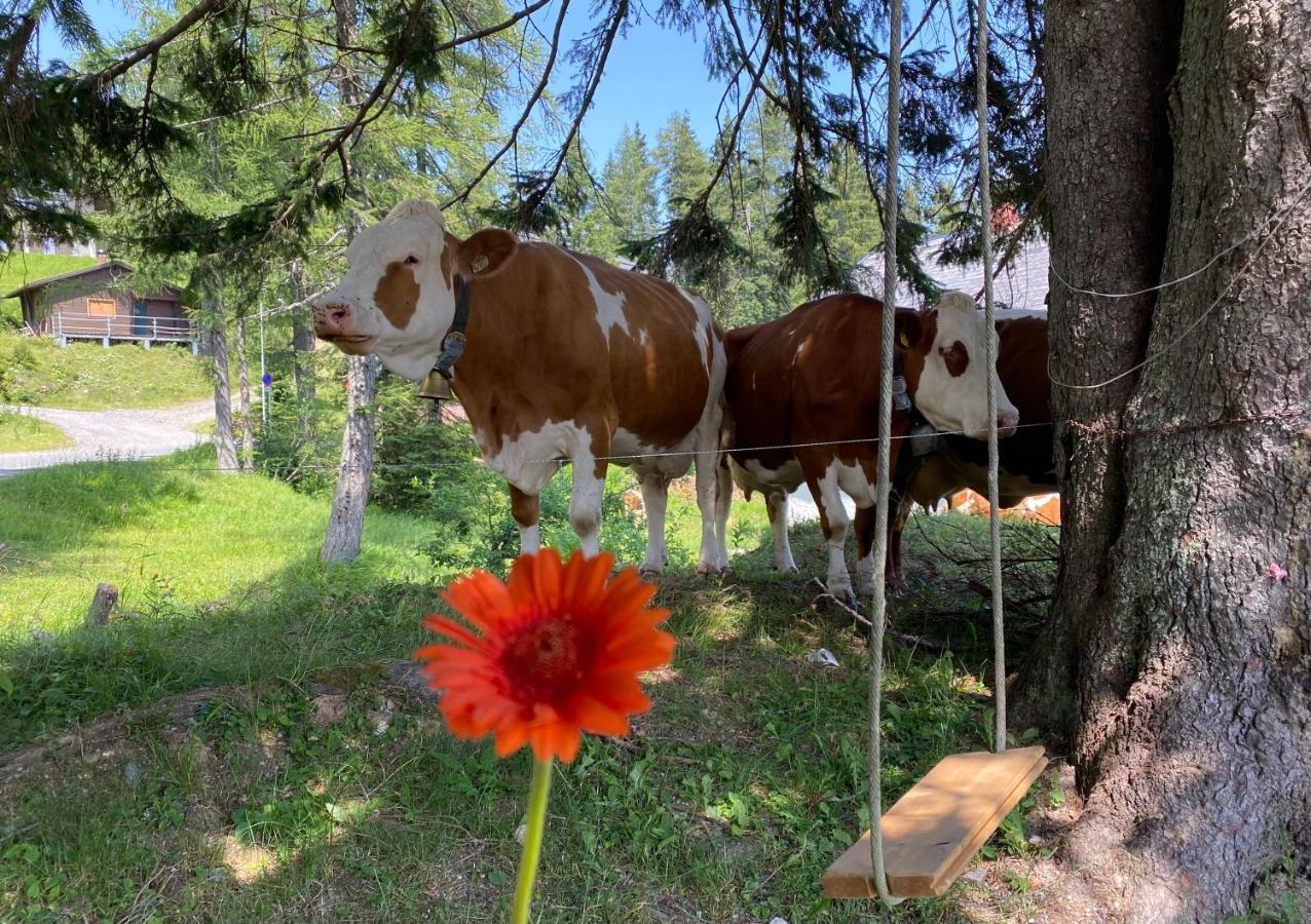 Gemuetliche Huette In Den Bergen Villa Sonnenalpe Nassfeld Exterior foto