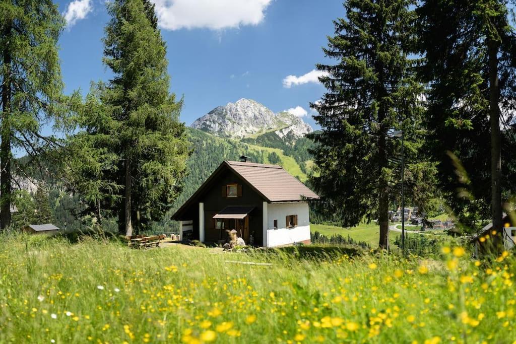 Gemuetliche Huette In Den Bergen Villa Sonnenalpe Nassfeld Exterior foto